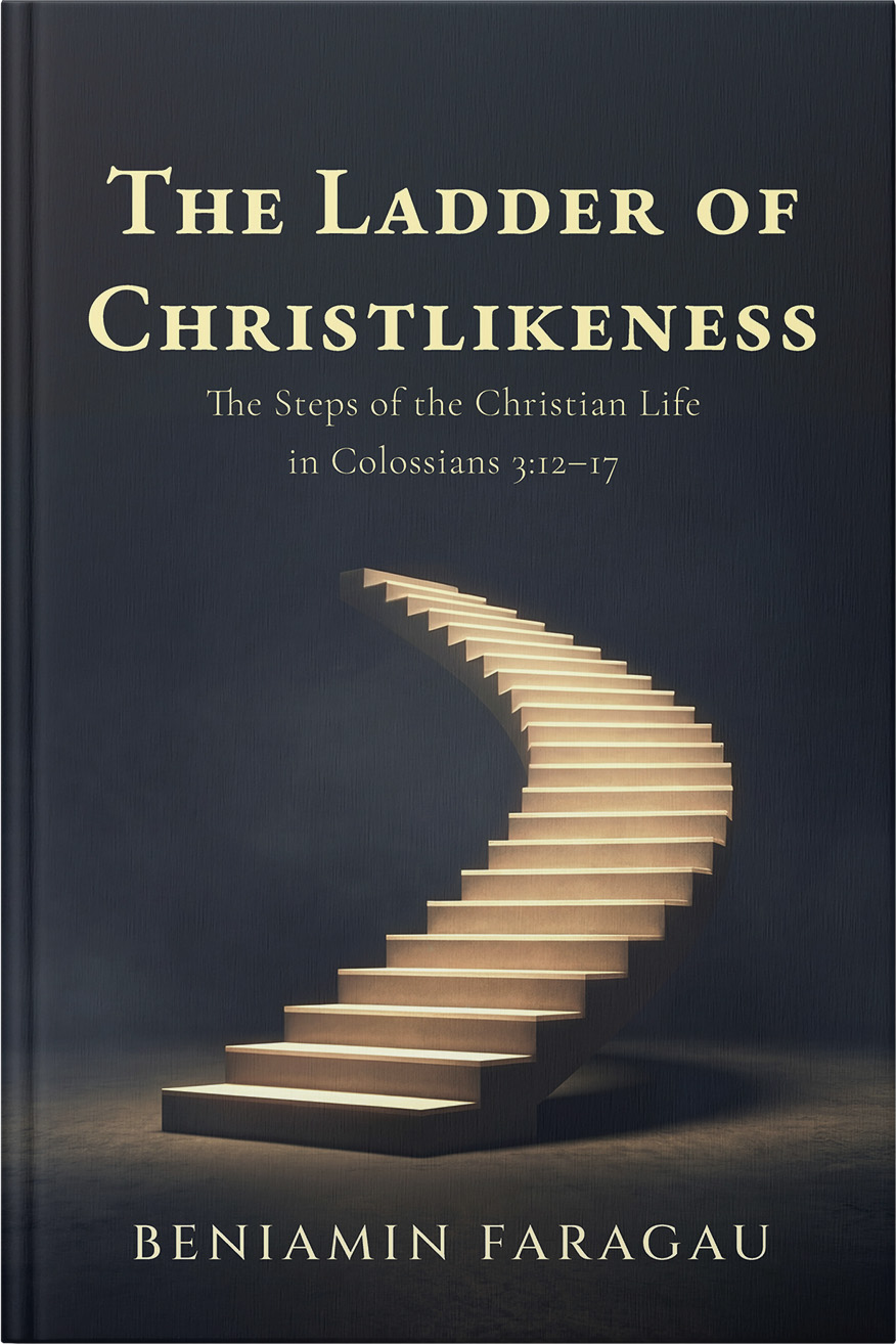 The Ladder of Christlikeness -- Book Cover by Beniamin Faragau